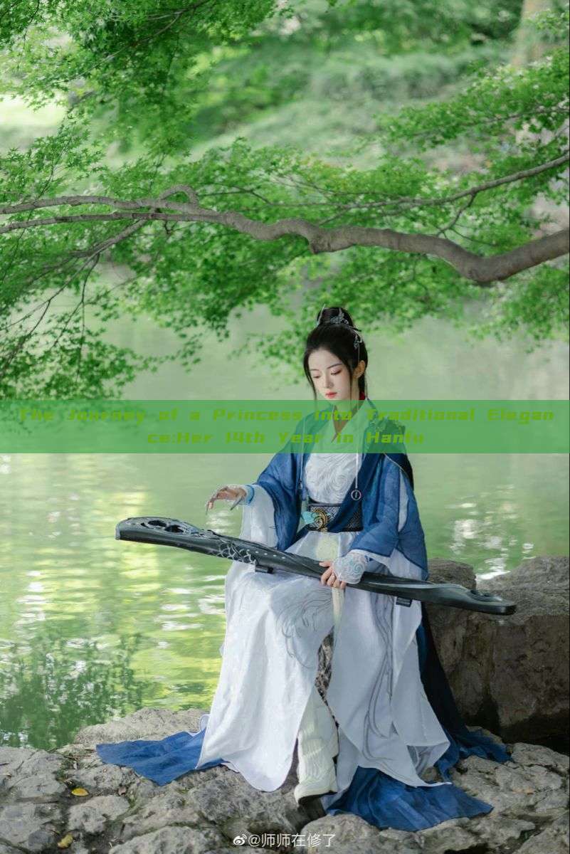 The Journey of a Princess into Traditional Elegance:Her 14th Year in Hanfu