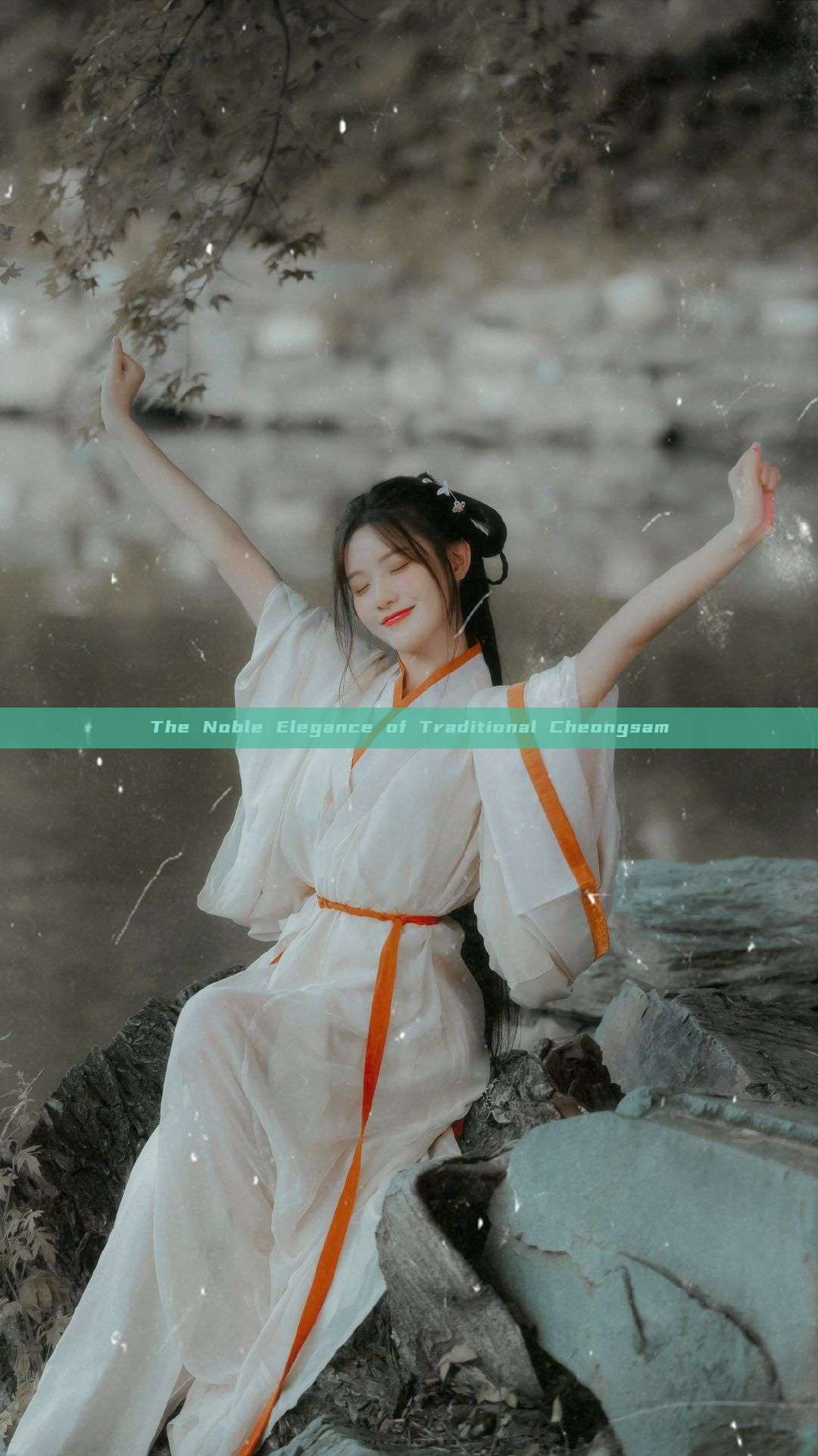 The Noble Elegance of Traditional Cheongsam The Noble Elegance of Traditional Cheongsam