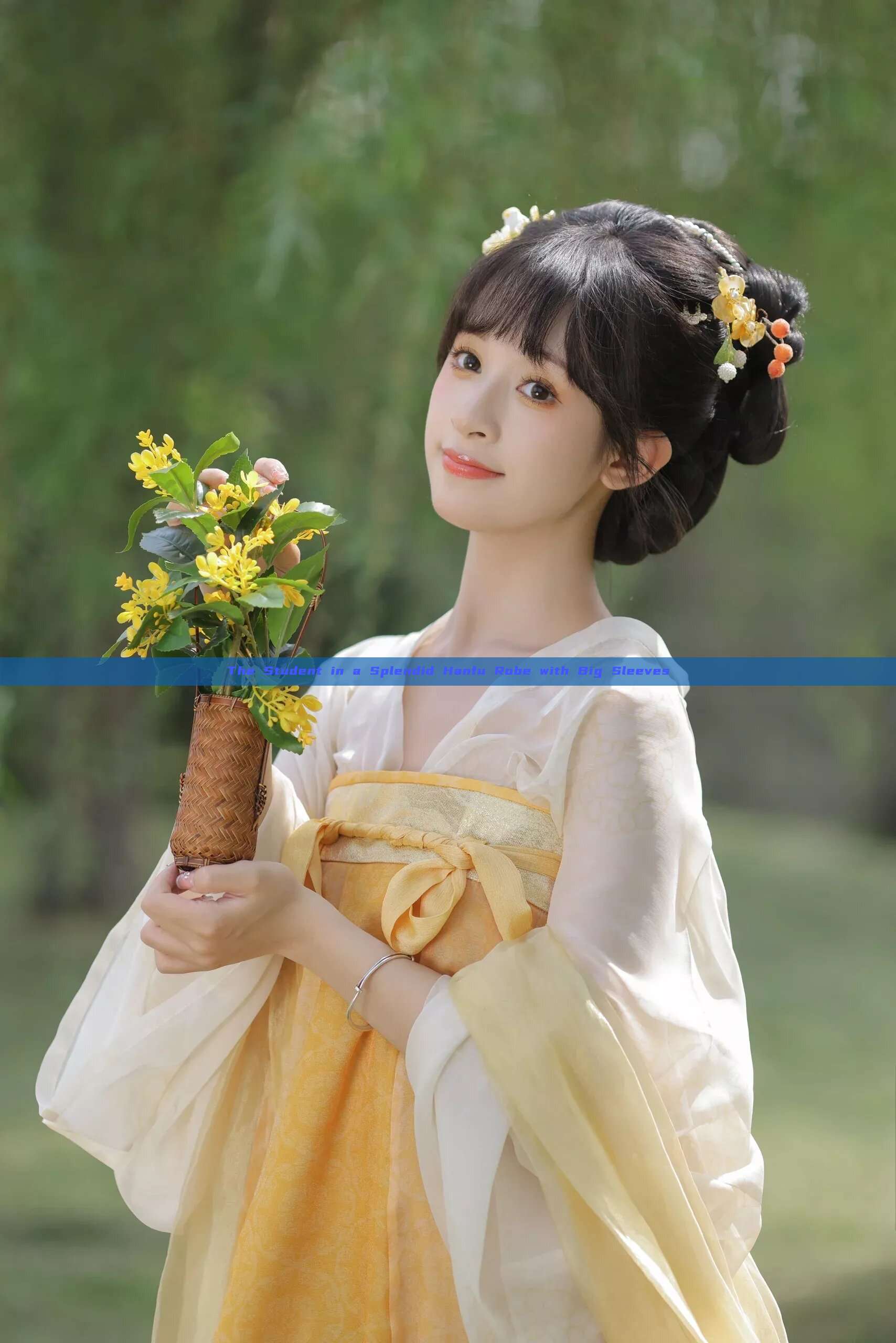 The Student in a Splendid Hanfu Robe with Big Sleeves The Student in a Splendid Hanfu Robe with Big Sleeves
