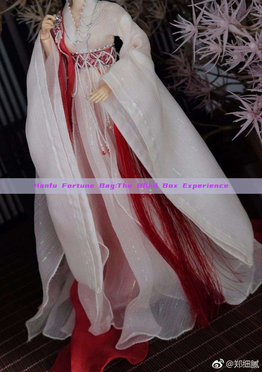 Hanfu Fortune Bag:The Blind Box Experience Hanfu Fortune Bag:The Blind Box Experience