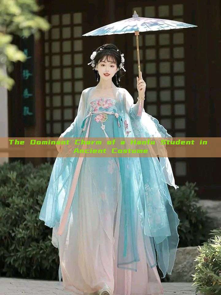 The Dominant Charm of a Hanfu Student in Ancient Costume The Dominant Charm of a Hanfu Student in Ancient Costume