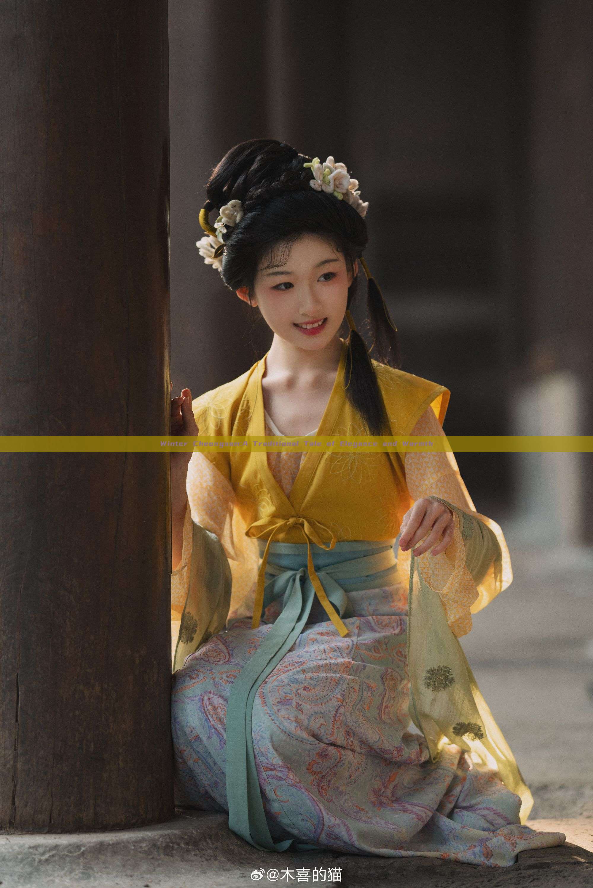 Winter Cheongsam:A Traditional Tale of Elegance and Warmth Winter Cheongsam:A Traditional Tale of Elegance and Warmth