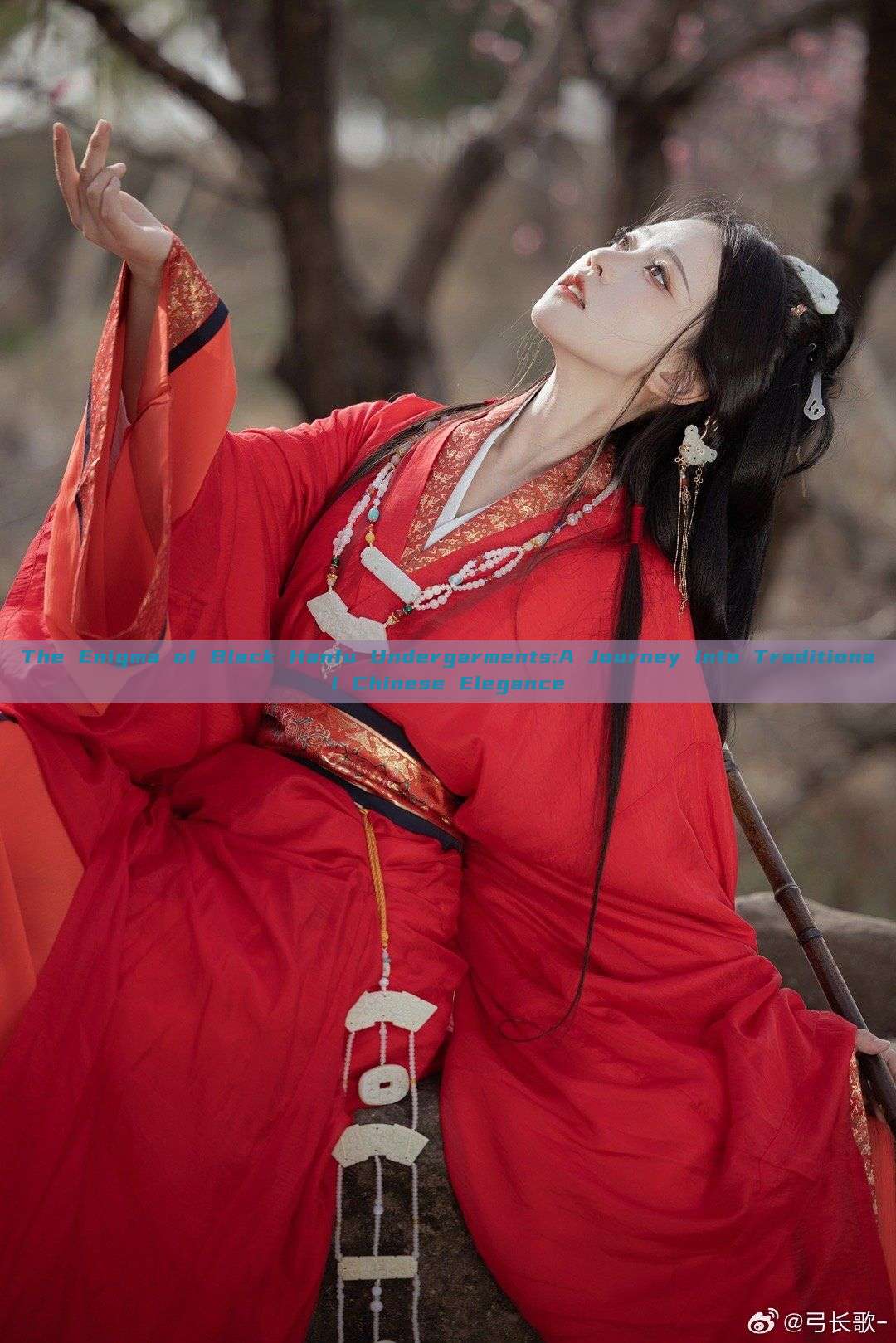 The Enigma of Black Hanfu Undergarments:A Journey into Traditional Chinese Elegance