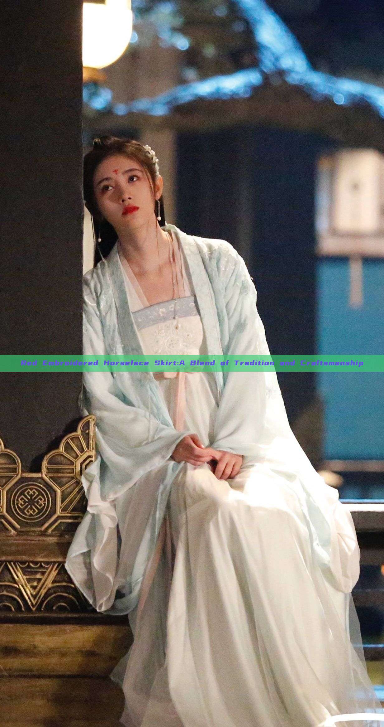 Red Embroidered Horseface Skirt:A Blend of Tradition and Craftsmanship Red Embroidered Horseface Skirt:A Blend of Tradition and Craftsmanship