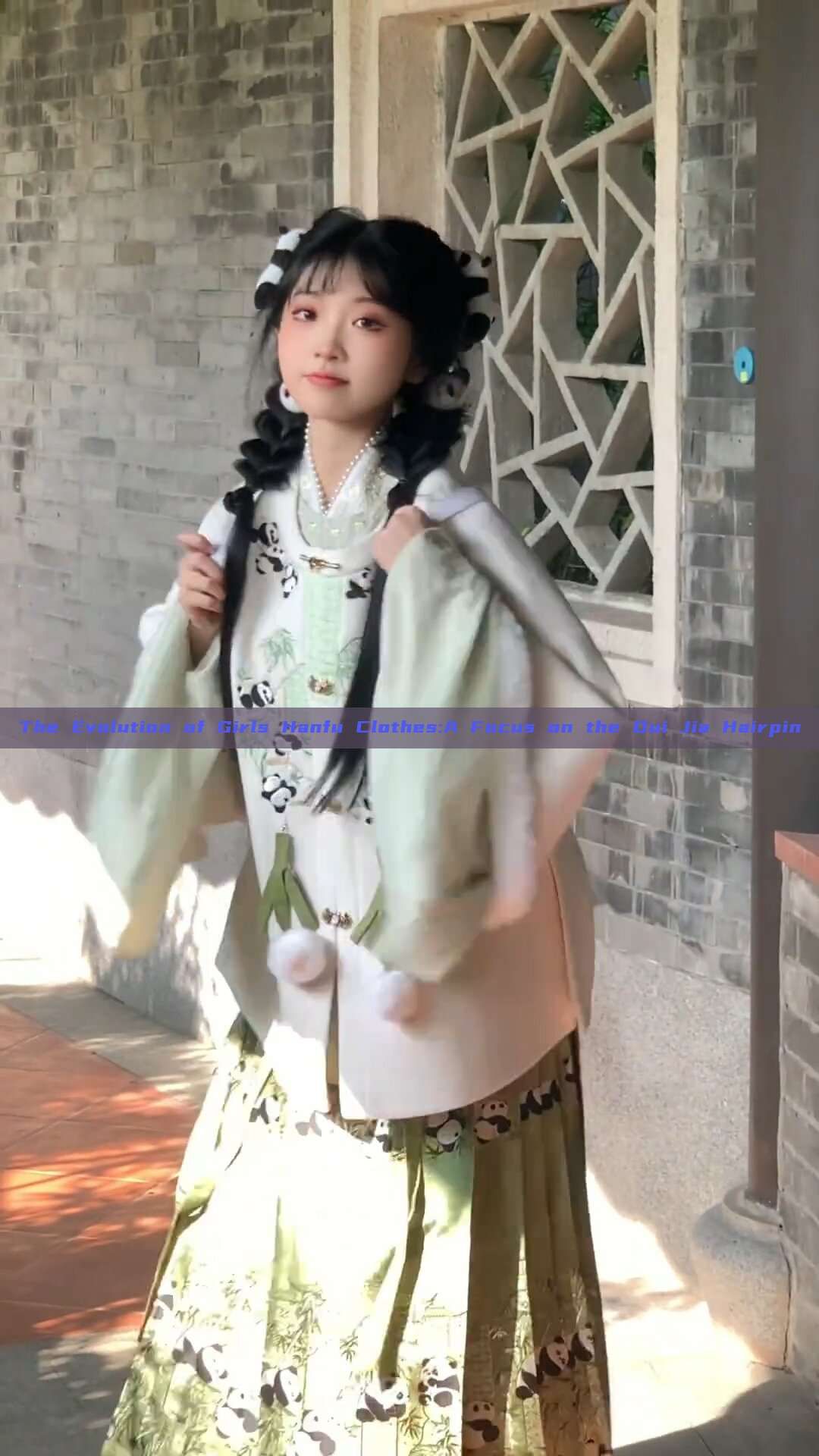 The Evolution of Girls Hanfu Clothes:A Focus on the Dui Jia Hairpin