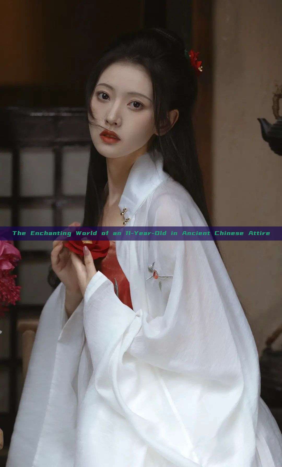 The Enchanting World of an 11-Year-Old in Ancient Chinese Attire The Enchanting World of an 11-Year-Old in Ancient Chinese Attire
