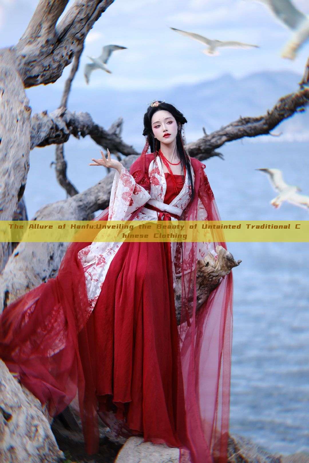 The Allure of Hanfu:Unveiling the Beauty of Untainted Traditional Chinese Clothing The Allure of Hanfu:Unveiling the Beauty of Untainted Traditional Chinese Clothing