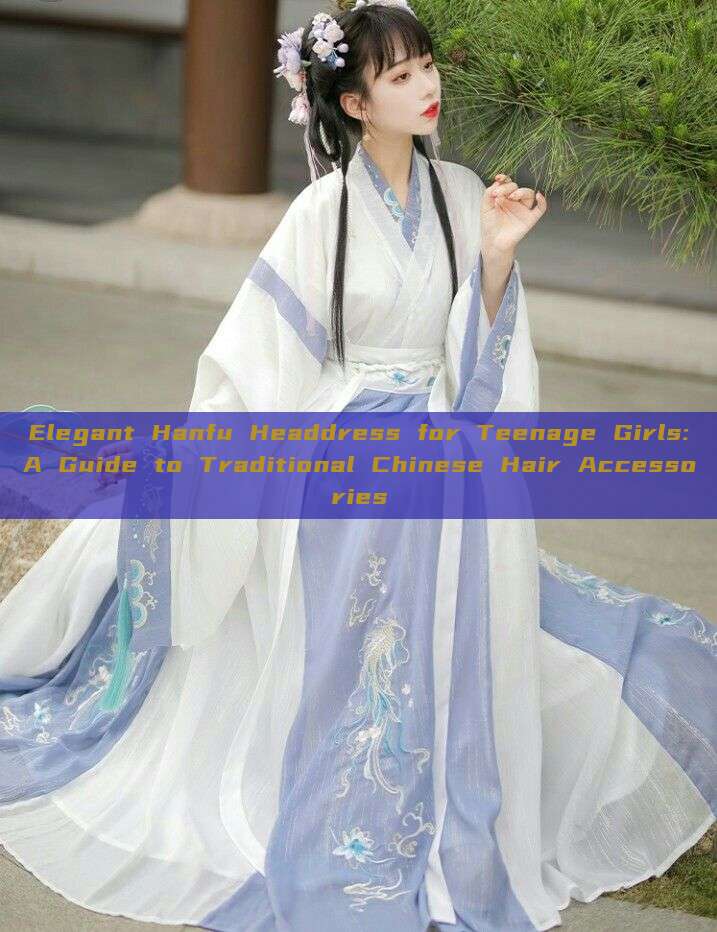 Elegant Hanfu Headdress for Teenage Girls:A Guide to Traditional Chinese Hair Accessories