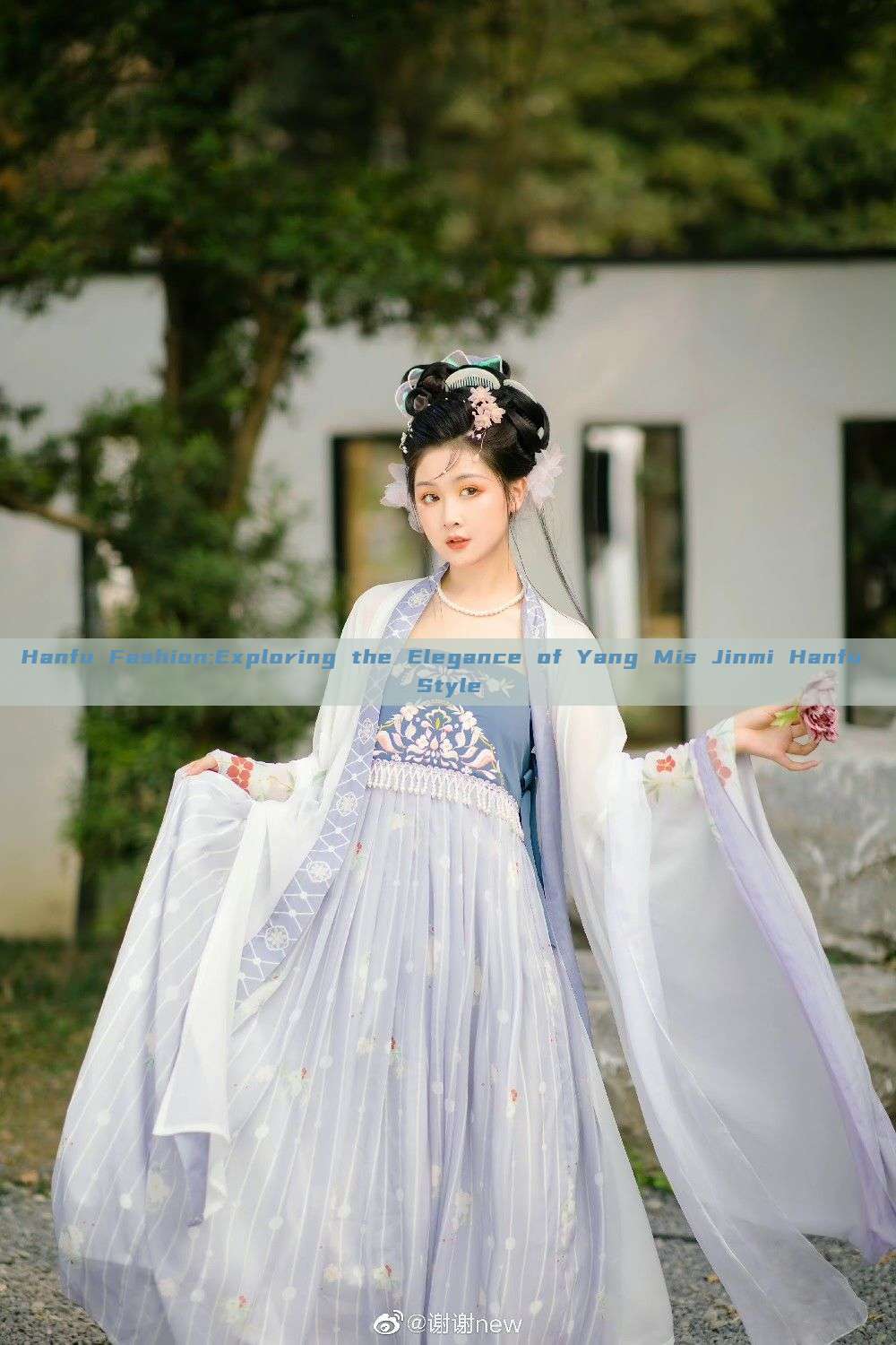 Hanfu Fashion:Exploring the Elegance of Yang Mis Jinmi Hanfu Style Hanfu Fashion:Exploring the Elegance of Yang Mis Jinmi Hanfu Style