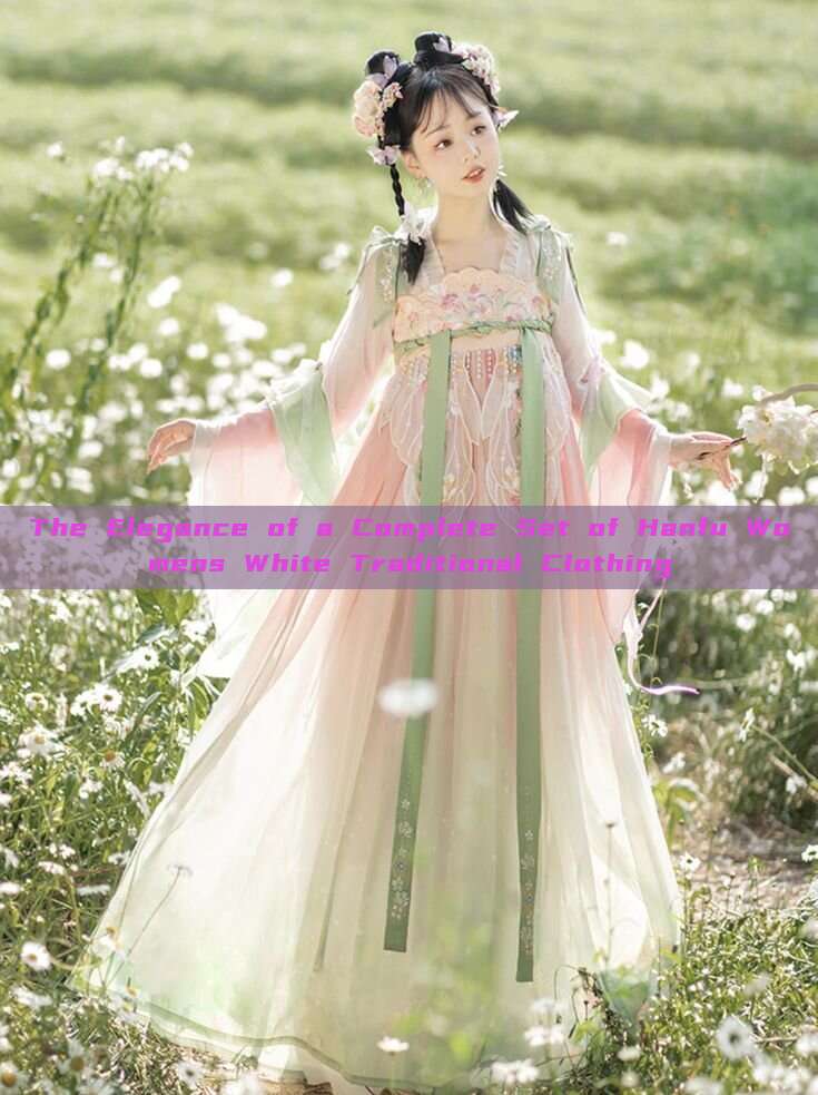 The Elegance of a Complete Set of Hanfu Womens White Traditional Clothing The Elegance of a Complete Set of Hanfu Womens White Traditional Clothing