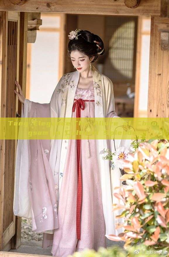 Tang Elegance:The Allure of Cheongsam in Cultural Splendor Tang Elegance:The Allure of Cheongsam in Cultural Splendor