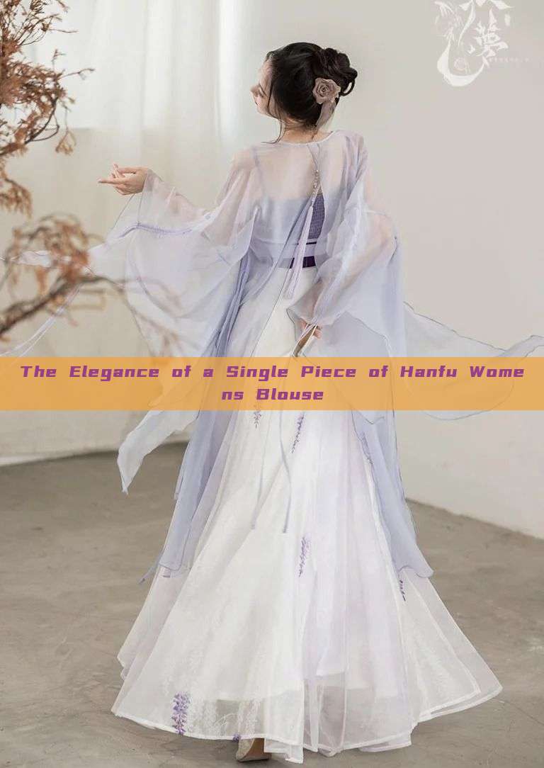 The Elegance of a Single Piece of Hanfu Womens Blouse The Elegance of a Single Piece of Hanfu Womens Blouse