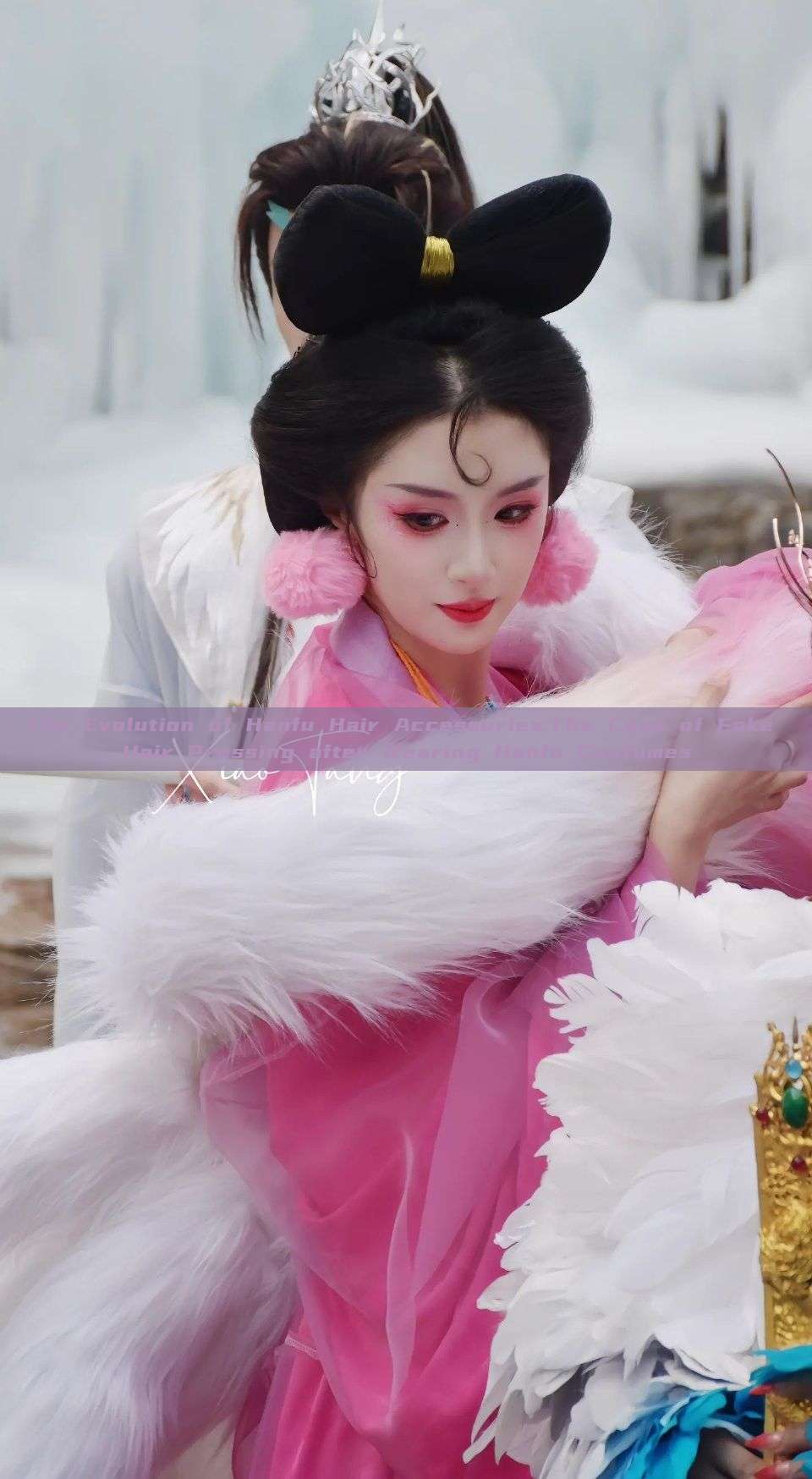 The Evolution of Hanfu Hair Accessories:The Case of Fake Hair Pressing after Wearing Hanfu Costumes The Evolution of Hanfu Hair Accessories:The Case of Fake Hair Pressing after Wearing Hanfu Costumes