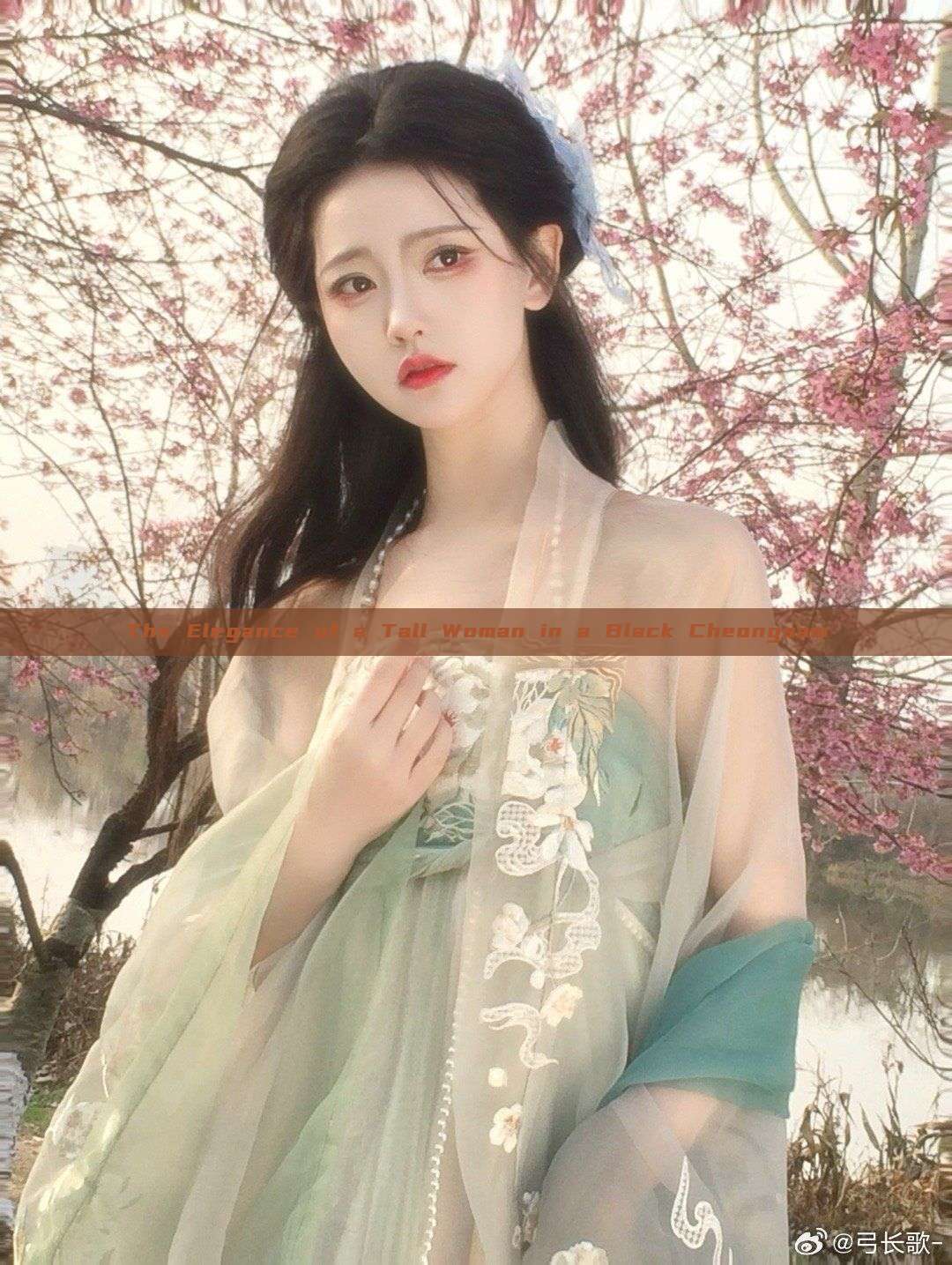 The Elegance of a Tall Woman in a Black Cheongsam The Elegance of a Tall Woman in a Black Cheongsam