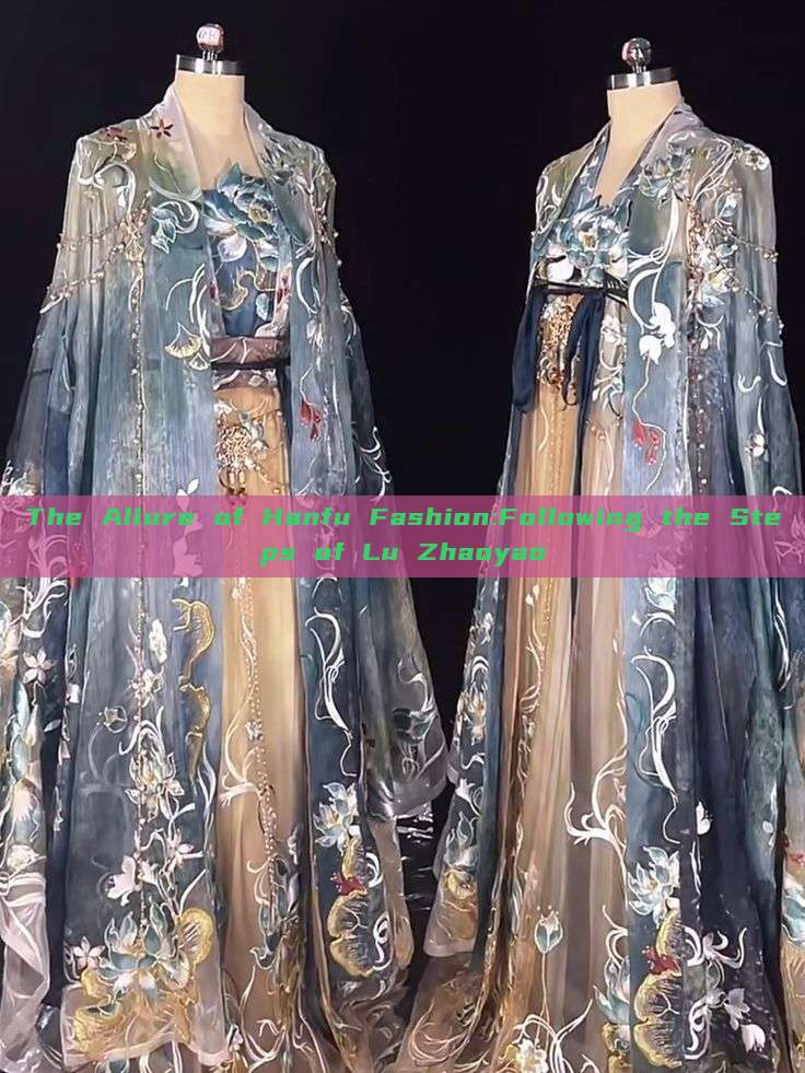 The Allure of Hanfu Fashion:Following the Steps of Lu Zhaoyao The Allure of Hanfu Fashion:Following the Steps of Lu Zhaoyao