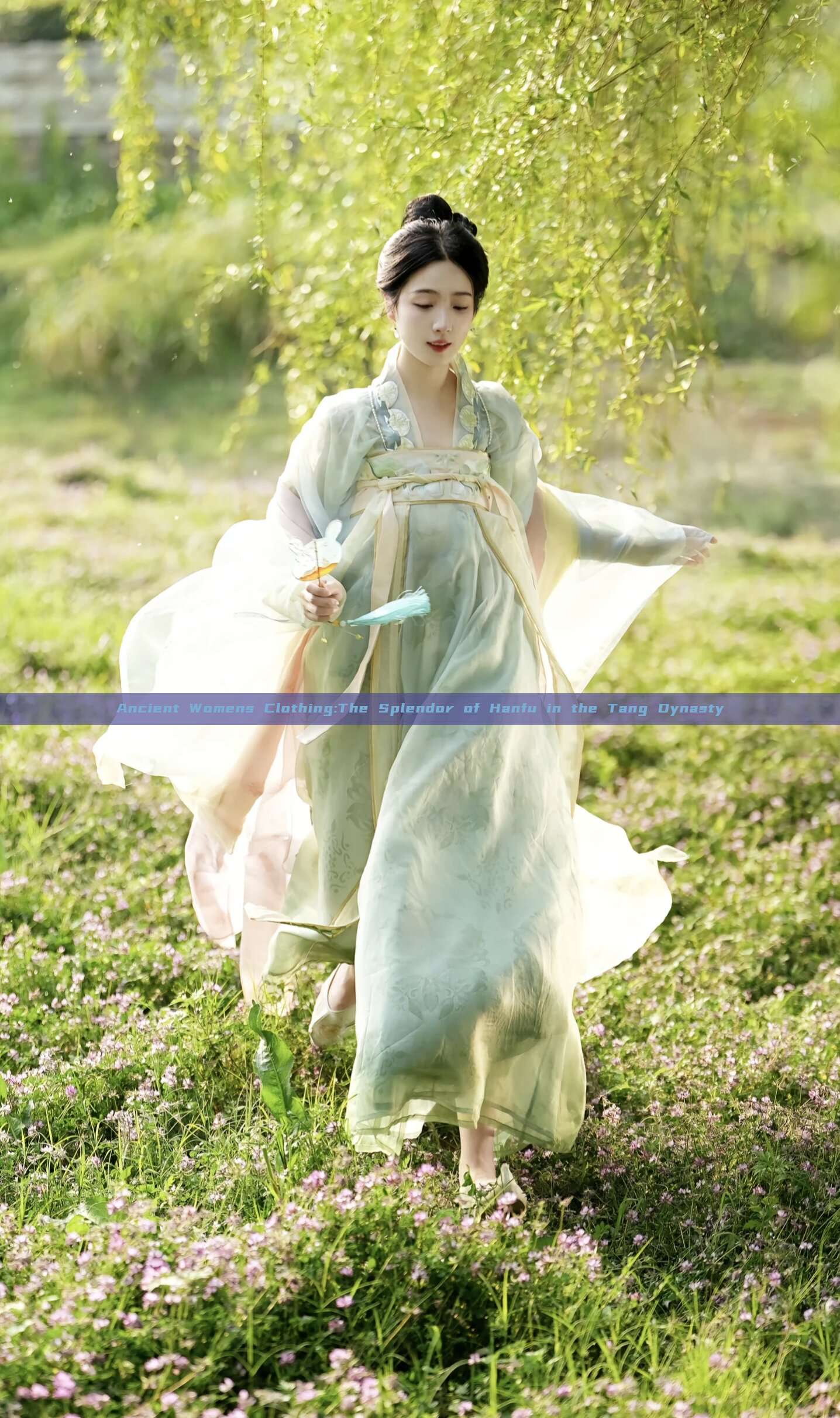 Ancient Womens Clothing:The Splendor of Hanfu in the Tang Dynasty Ancient Womens Clothing:The Splendor of Hanfu in the Tang Dynasty