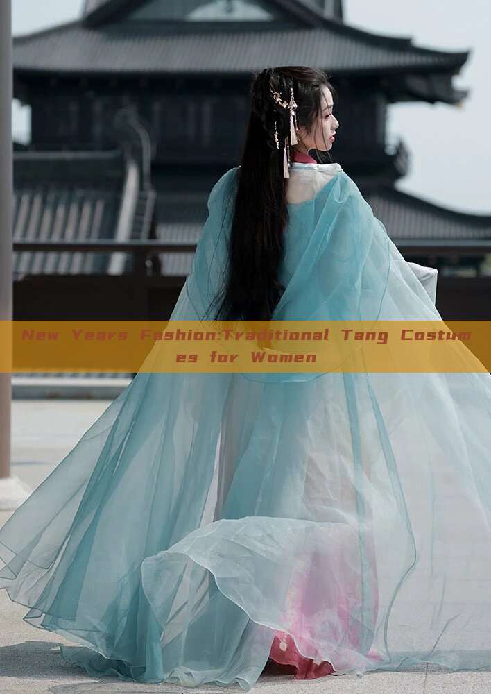 New Years Fashion:Traditional Tang Costumes for Women New Years Fashion:Traditional Tang Costumes for Women