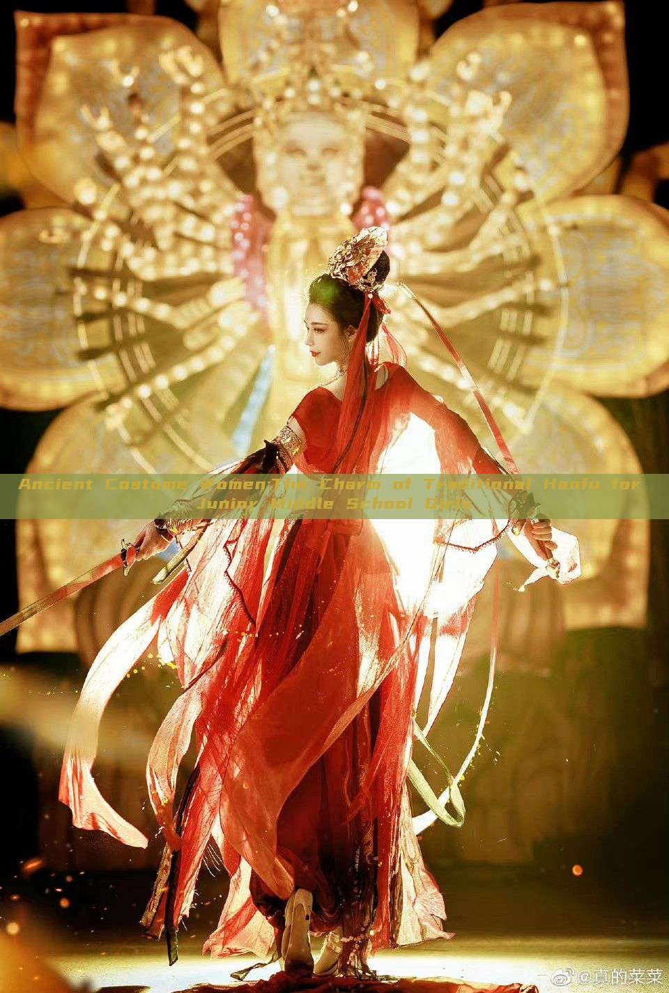 Ancient Costume Women:The Charm of Traditional Hanfu for Junior Middle School Girls Ancient Costume Women:The Charm of Traditional Hanfu for Junior Middle School Girls