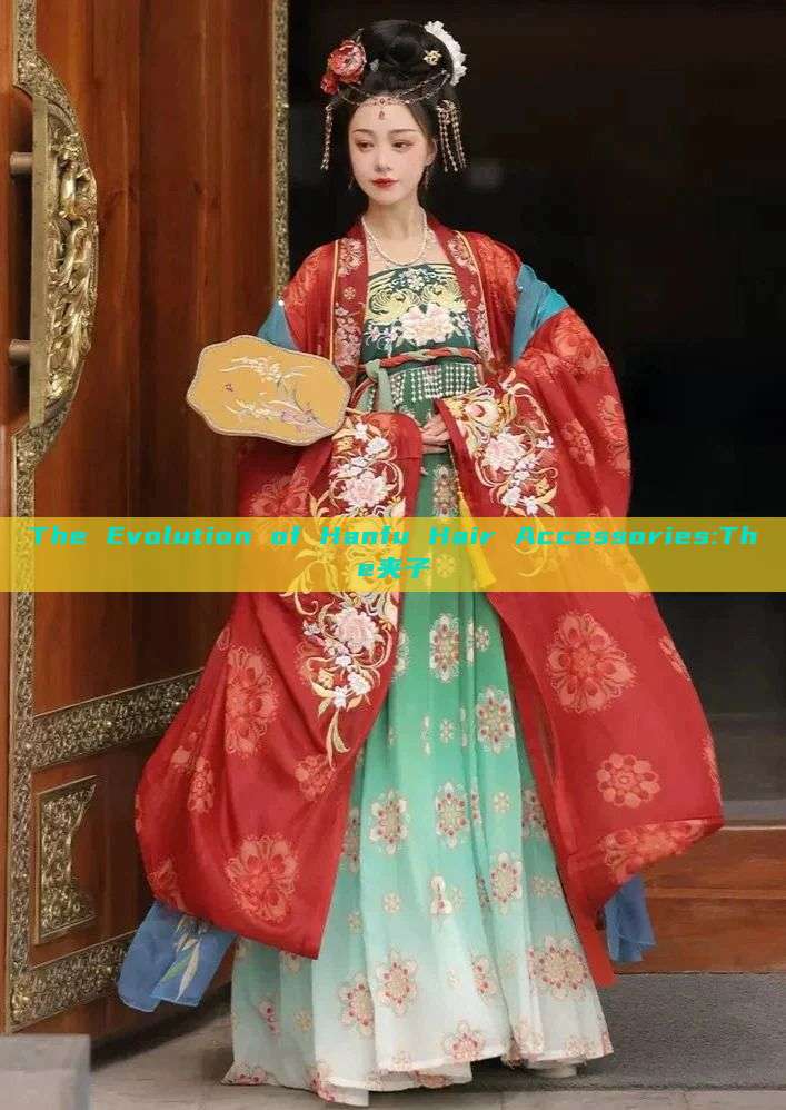 The Evolution of Hanfu Hair Accessories:The夹子 The Evolution of Hanfu Hair Accessories:The夹子