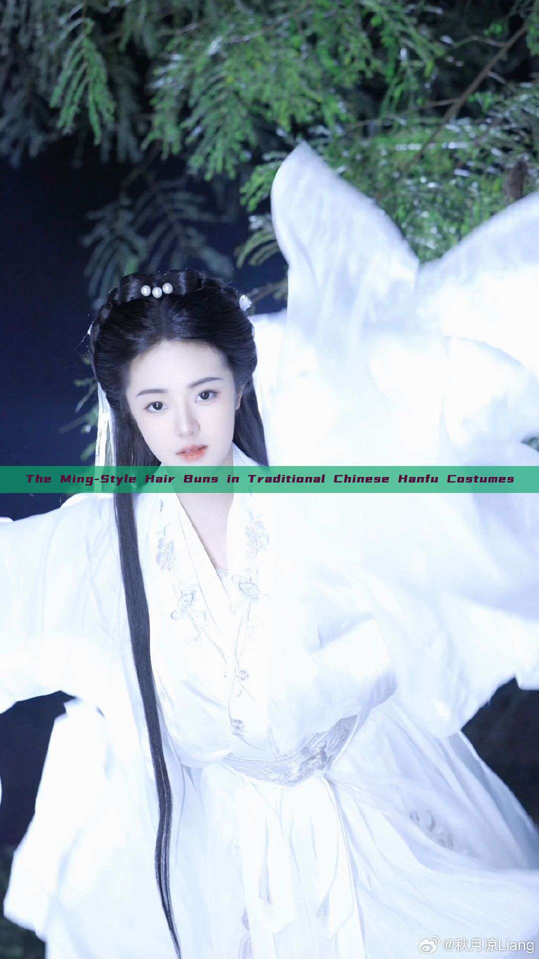 The Ming-Style Hair Buns in Traditional Chinese Hanfu Costumes The Ming-Style Hair Buns in Traditional Chinese Hanfu Costumes