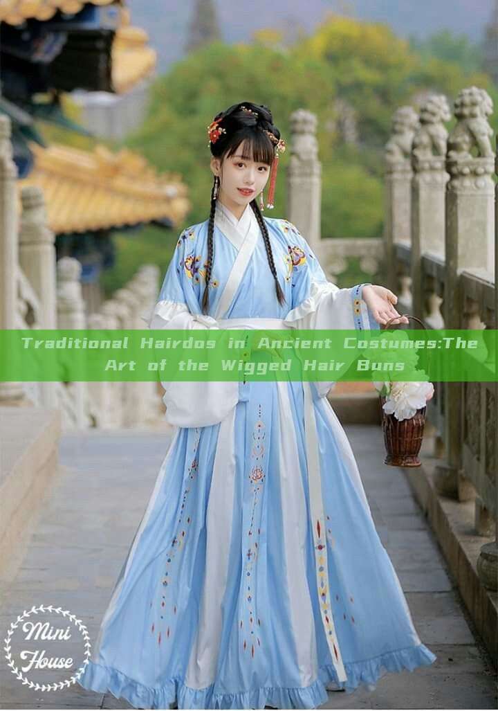 Traditional Hairdos in Ancient Costumes:The Art of the Wigged Hair Buns Traditional Hairdos in Ancient Costumes:The Art of the Wigged Hair Buns