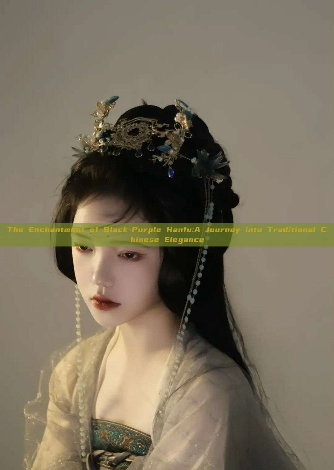 The Enchantment of Black-Purple Hanfu:A Journey into Traditional Chinese Elegance The Enchantment of Black-Purple Hanfu:A Journey into Traditional Chinese Elegance