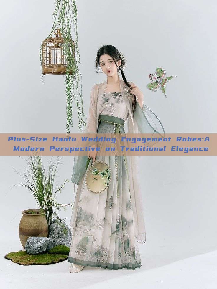 Plus-Size Hanfu Wedding Engagement Robes:A Modern Perspective on Traditional Elegance Plus-Size Hanfu Wedding Engagement Robes:A Modern Perspective on Traditional Elegance