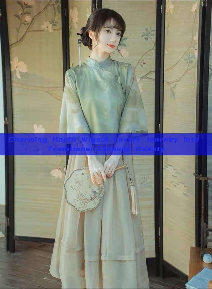 Charming Hanfu Wigs:A Lovely Journey into Traditional Chinese Beauty Charming Hanfu Wigs:A Lovely Journey into Traditional Chinese Beauty