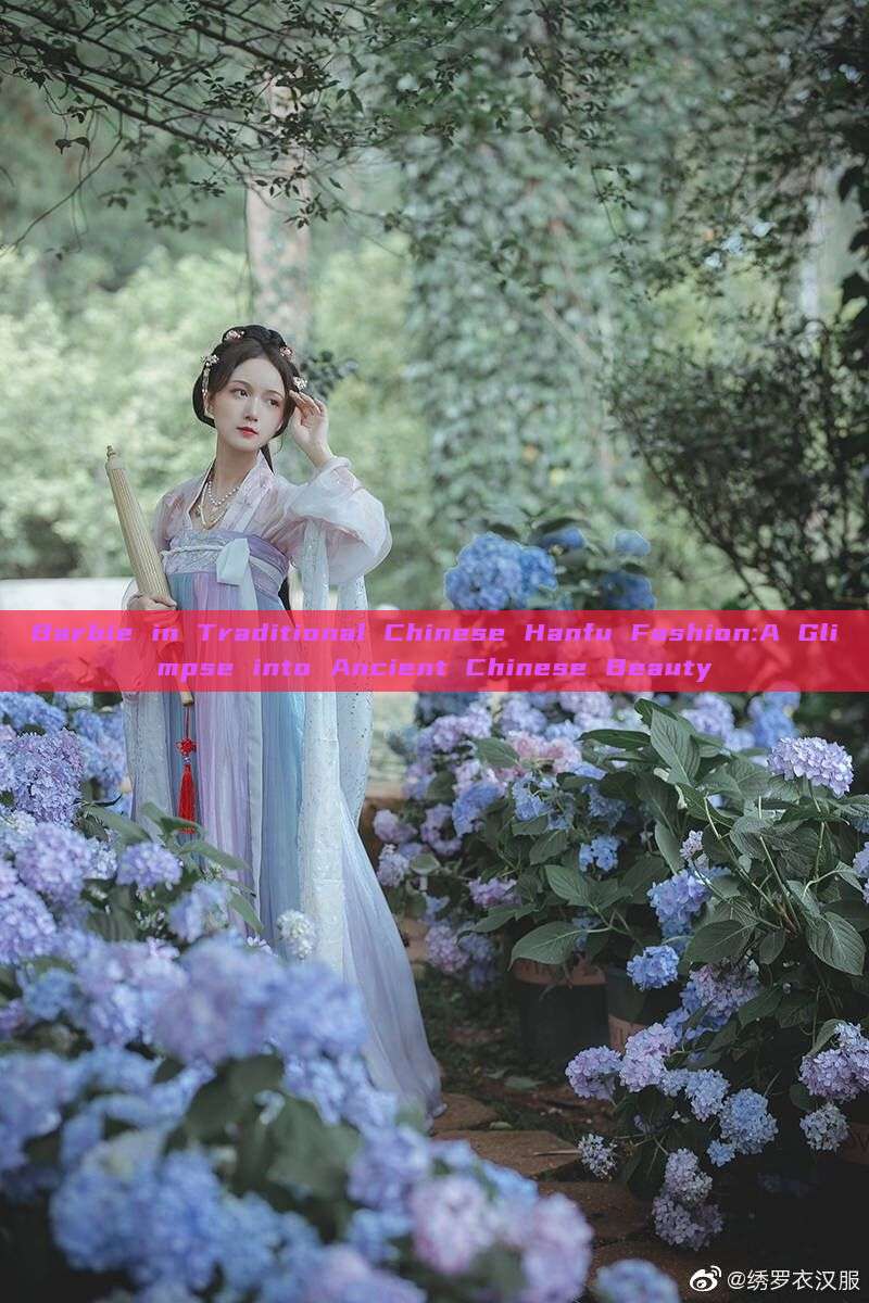 Barbie in Traditional Chinese Hanfu Fashion:A Glimpse into Ancient Chinese Beauty Barbie in Traditional Chinese Hanfu Fashion:A Glimpse into Ancient Chinese Beauty
