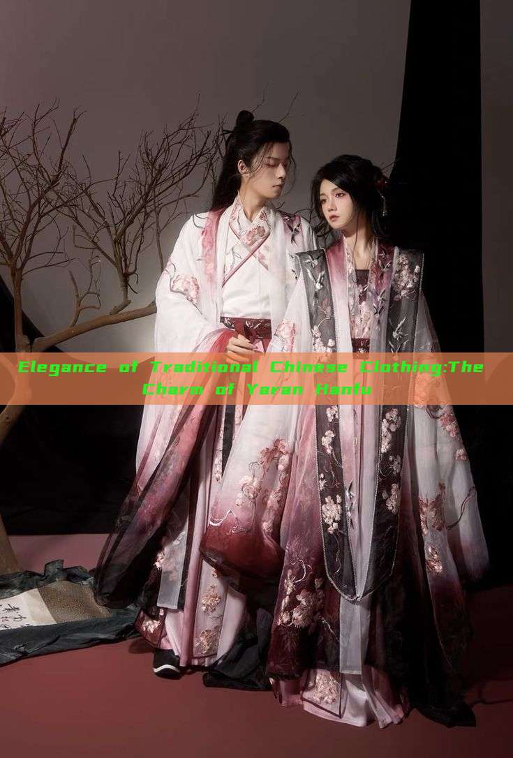 Elegance of Traditional Chinese Clothing:The Charm of Yaran Hanfu Elegance of Traditional Chinese Clothing:The Charm of Yaran Hanfu