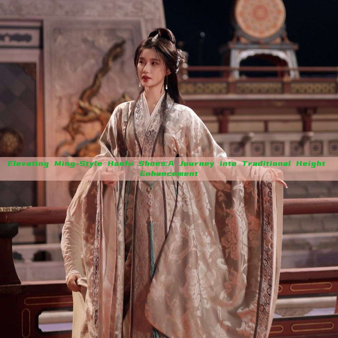 Elevating Ming-Style Hanfu Shoes:A Journey into Traditional Height Enhancement Elevating Ming-Style Hanfu Shoes:A Journey into Traditional Height Enhancement
