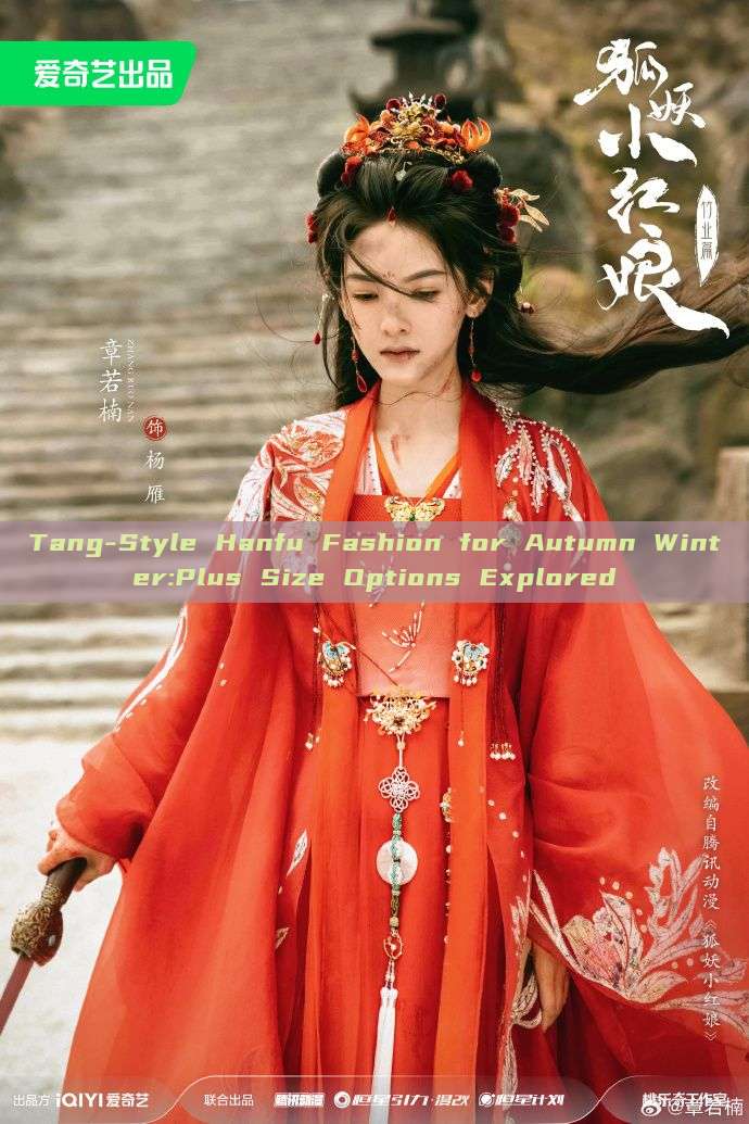 Tang-Style Hanfu Fashion for Autumn Winter:Plus Size Options Explored Tang-Style Hanfu Fashion for Autumn Winter:Plus Size Options Explored