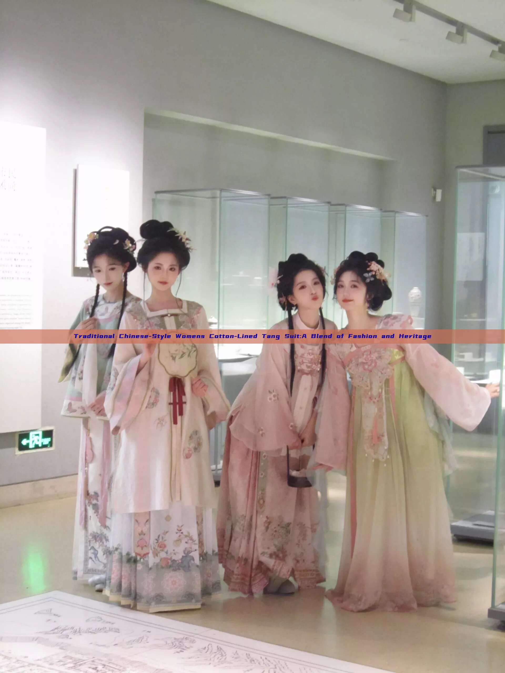 Traditional Chinese-Style Womens Cotton-Lined Tang Suit:A Blend of Fashion and Heritage Traditional Chinese-Style Womens Cotton-Lined Tang Suit:A Blend of Fashion and Heritage