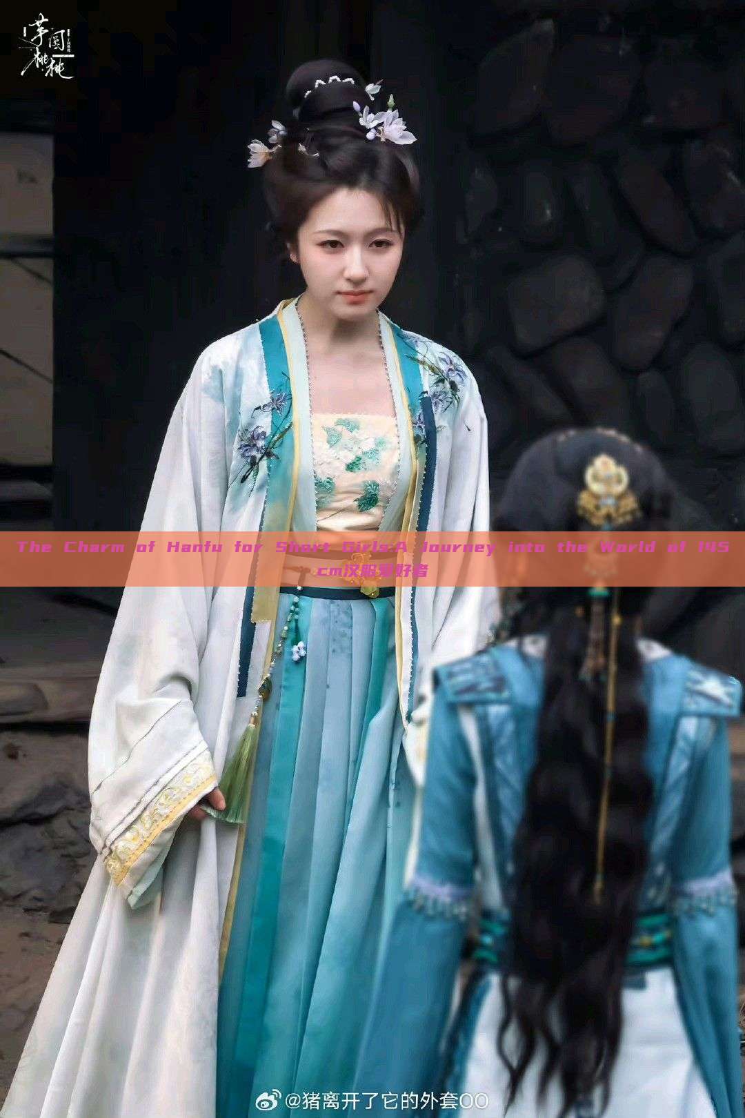 The Charm of Hanfu for Short Girls:A Journey into the World of 145cm汉服爱好者 The Charm of Hanfu for Short Girls:A Journey into the World of 145cm汉服爱好者