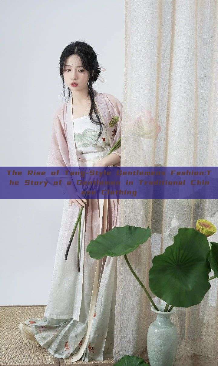 The Rise of Tang-Style Gentlemens Fashion:The Story of a Gentlemen in Traditional Chinese Clothing The Rise of Tang-Style Gentlemens Fashion:The Story of a Gentlemen in Traditional Chinese Clothing