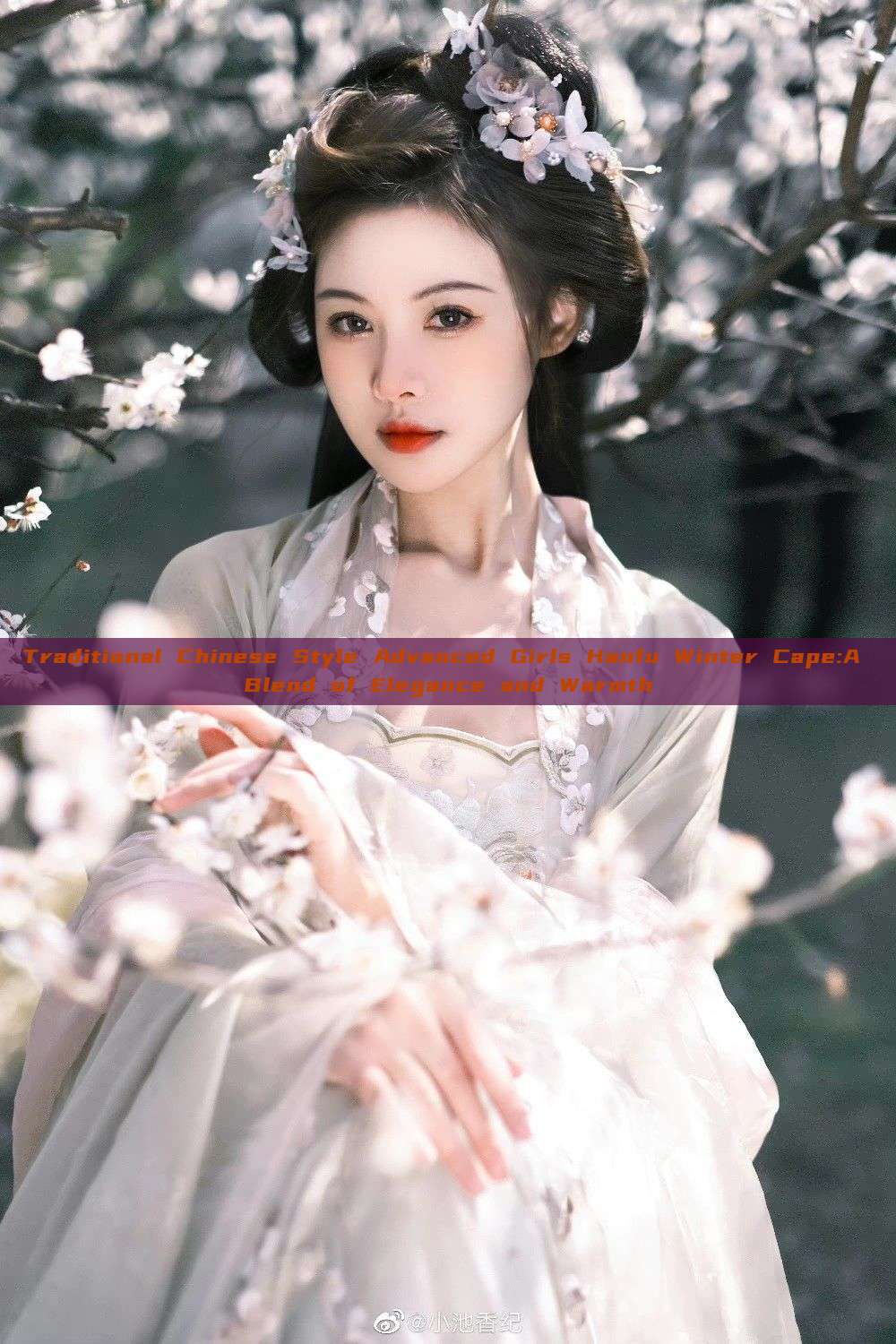 Traditional Chinese Style Advanced Girls Hanfu Winter Cape:A Blend of Elegance and Warmth Traditional Chinese Style Advanced Girls Hanfu Winter Cape:A Blend of Elegance and Warmth