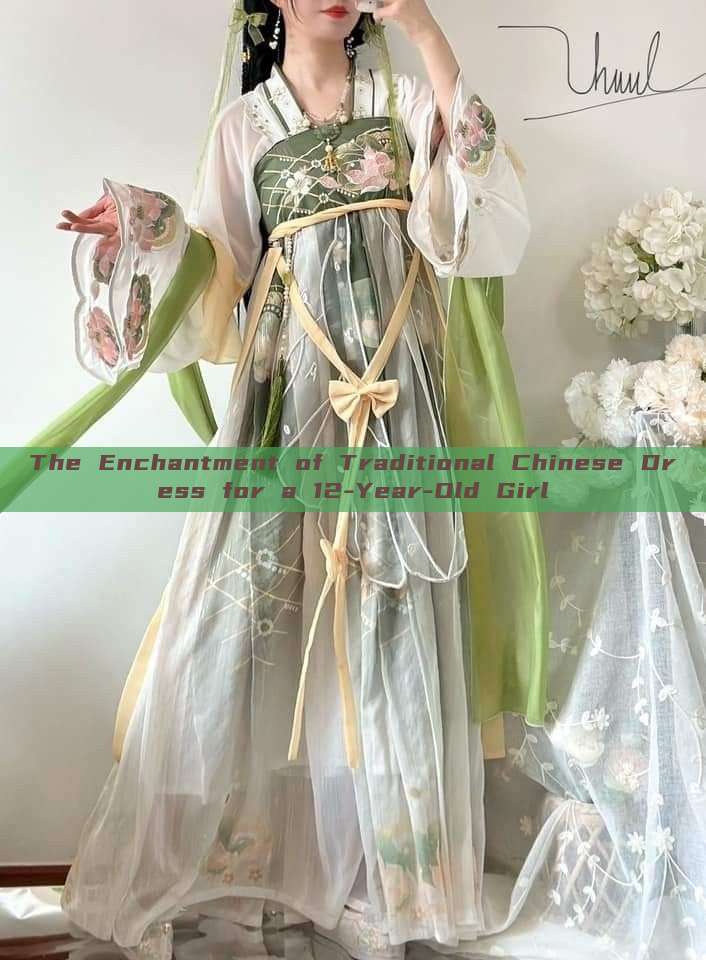 The Enchantment of Traditional Chinese Dress for a 12-Year-Old Girl The Enchantment of Traditional Chinese Dress for a 12-Year-Old Girl