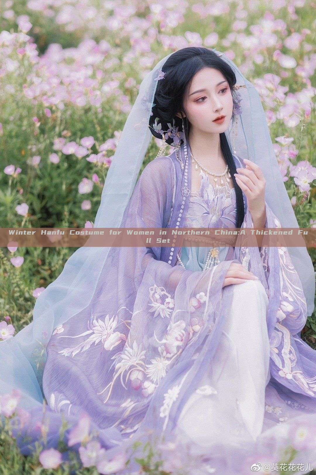 Winter Hanfu Costume for Women in Northern China:A Thickened Full Set Winter Hanfu Costume for Women in Northern China:A Thickened Full Set