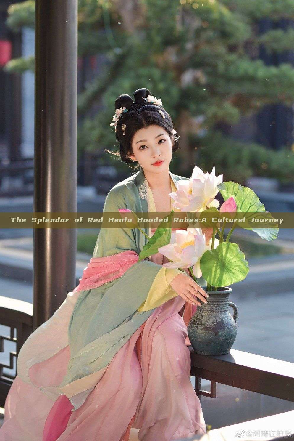 The Splendor of Red Hanfu Hooded Robes:A Cultural Journey The Splendor of Red Hanfu Hooded Robes:A Cultural Journey