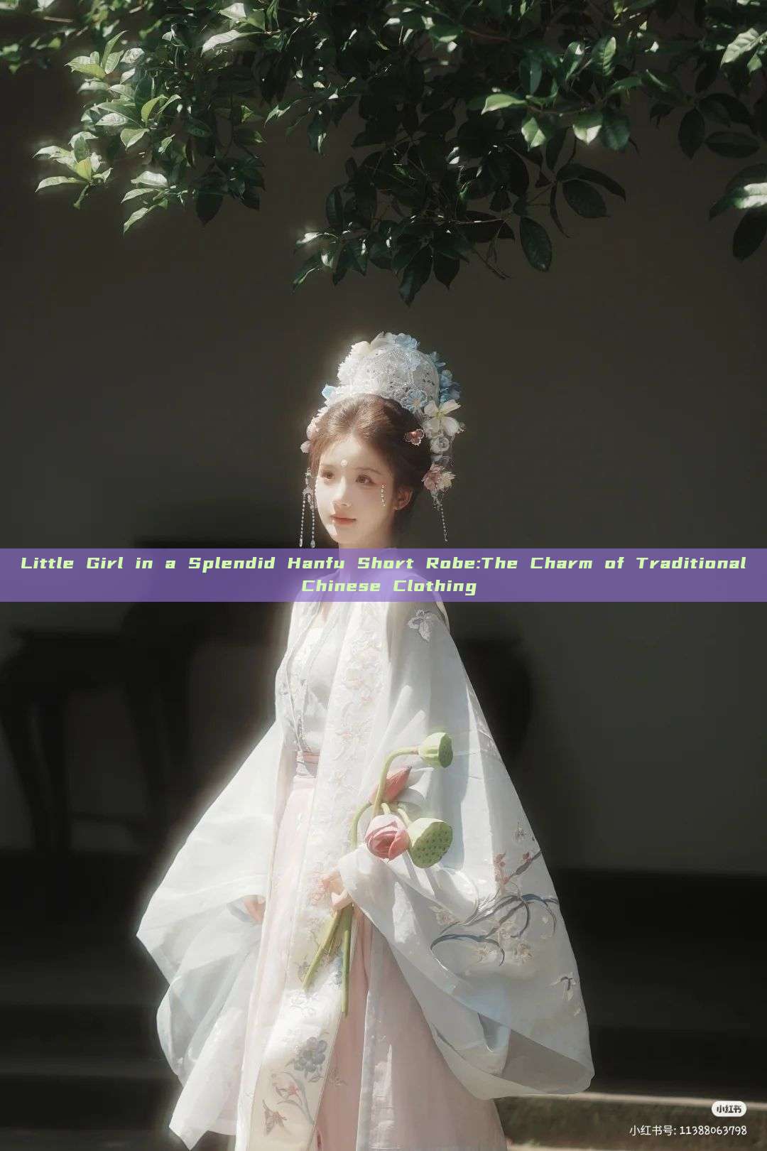 Little Girl in a Splendid Hanfu Short Robe:The Charm of Traditional Chinese Clothing Little Girl in a Splendid Hanfu Short Robe:The Charm of Traditional Chinese Clothing