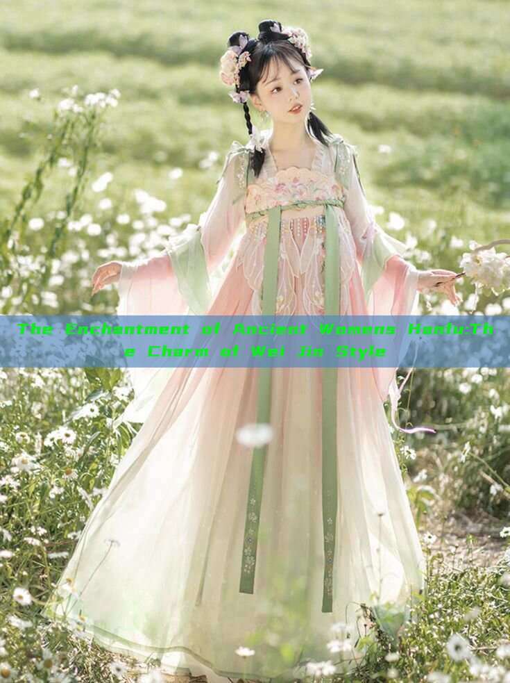 The Enchantment of Ancient Womens Hanfu:The Charm of Wei Jin Style The Enchantment of Ancient Womens Hanfu:The Charm of Wei Jin Style