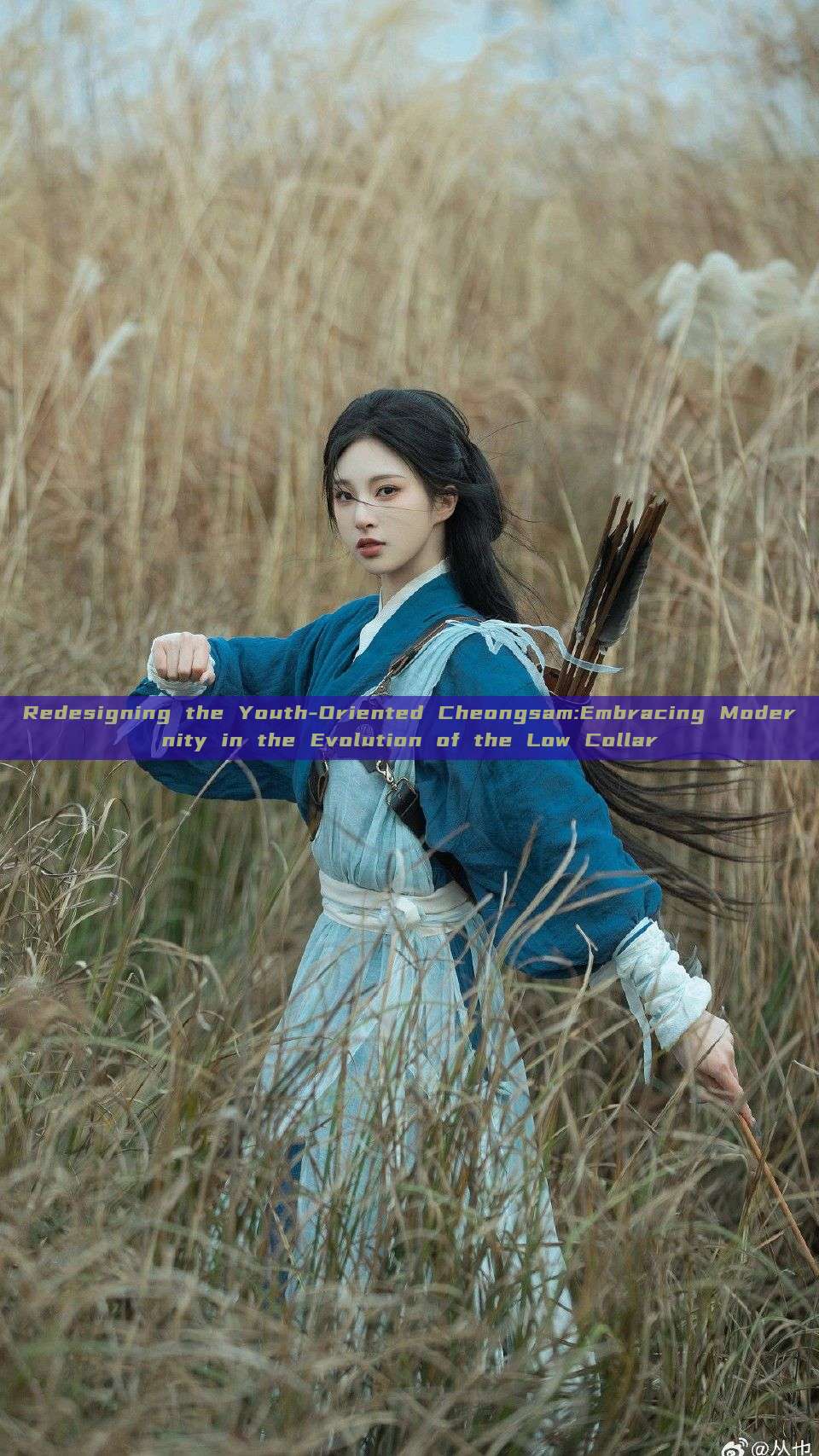 Redesigning the Youth-Oriented Cheongsam:Embracing Modernity in the Evolution of the Low Collar Redesigning the Youth-Oriented Cheongsam:Embracing Modernity in the Evolution of the Low Collar