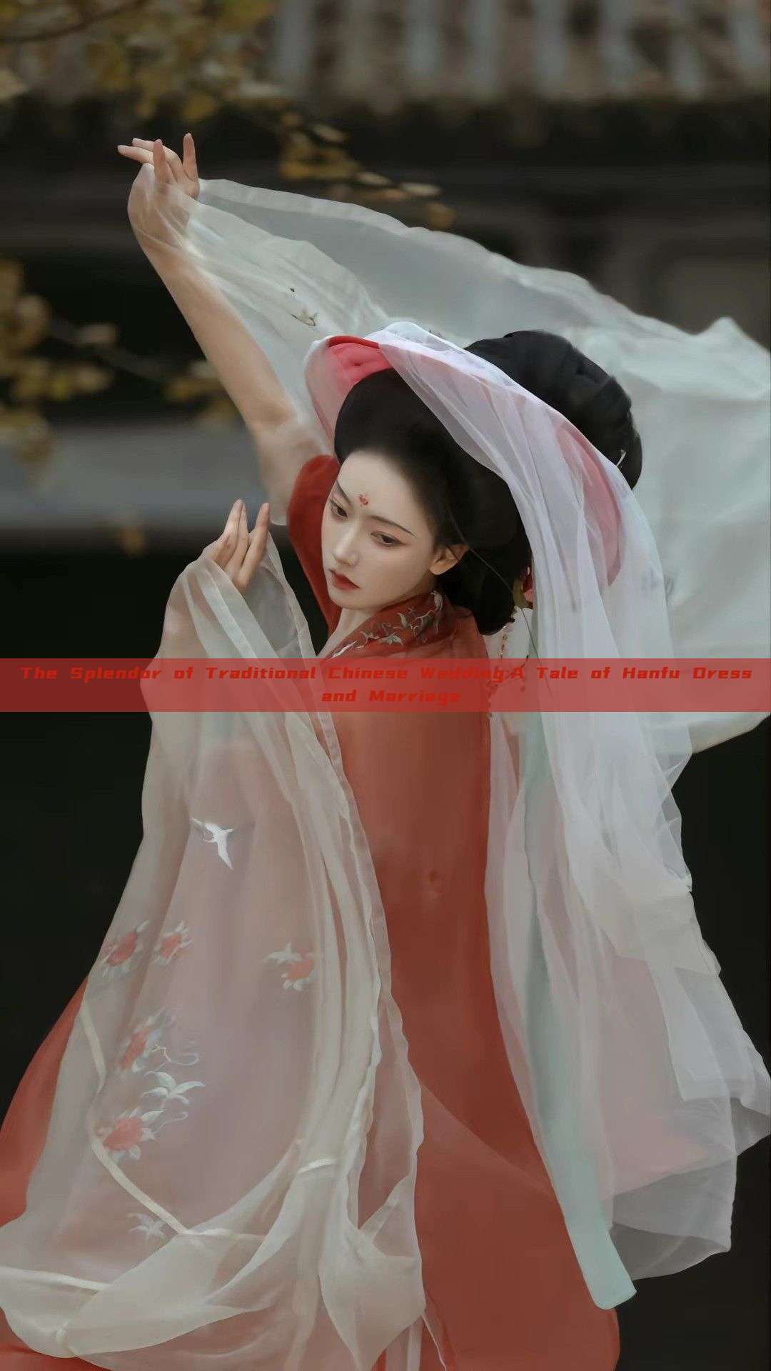 The Splendor of Traditional Chinese Wedding:A Tale of Hanfu Dress and Marriage The Splendor of Traditional Chinese Wedding:A Tale of Hanfu Dress and Marriage