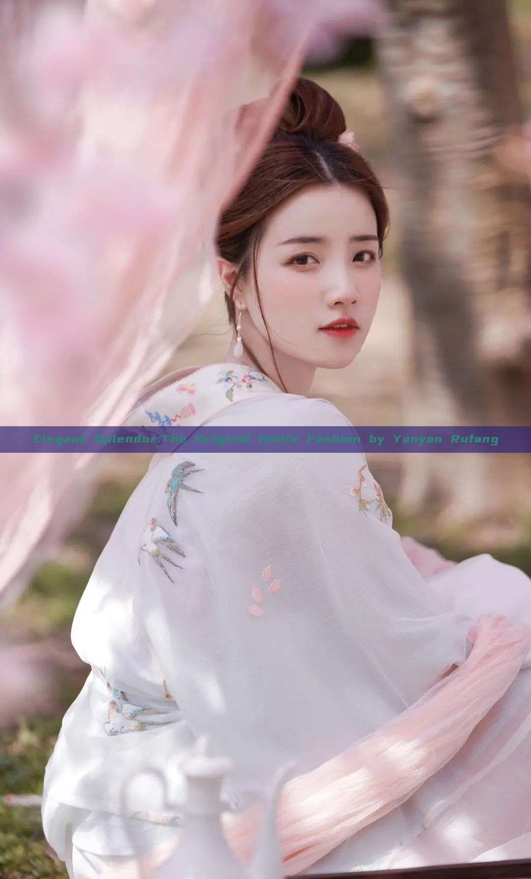 Elegant Splendor:The Original Hanfu Fashion by Yanyan Rufang Elegant Splendor:The Original Hanfu Fashion by Yanyan Rufang