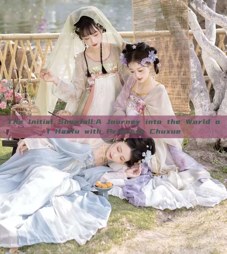 The Initial Snowfall:A Journey into the World of Hanfu with Princess Chuxue The Initial Snowfall:A Journey into the World of Hanfu with Princess Chuxue