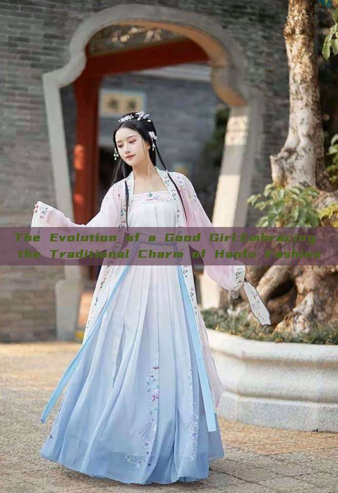 The Evolution of a Good Girl:Embracing the Traditional Charm of Hanfu Fashion The Evolution of a Good Girl:Embracing the Traditional Charm of Hanfu Fashion