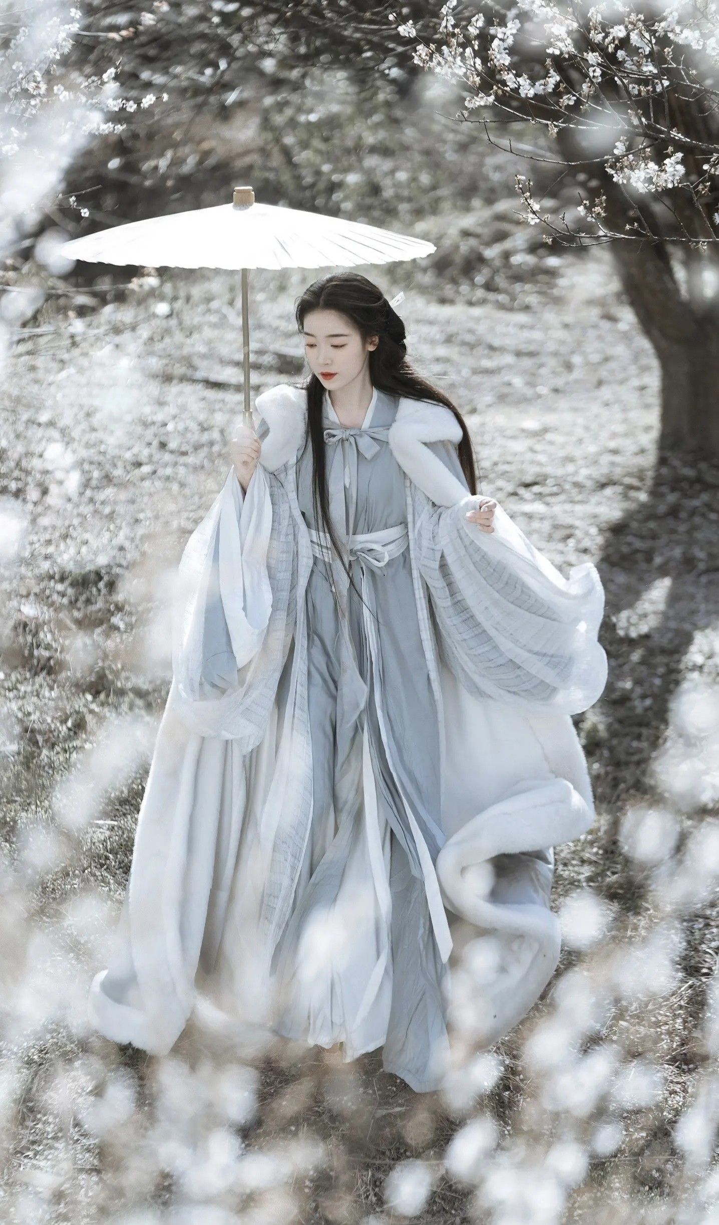 Elegant Hair Accessories and Complete Hanfu Costume:A Blend of Ancient Tradition and Modern Charm Elegant Hair Accessories and Complete Hanfu Costume:A Blend of Ancient Tradition and Modern Charm