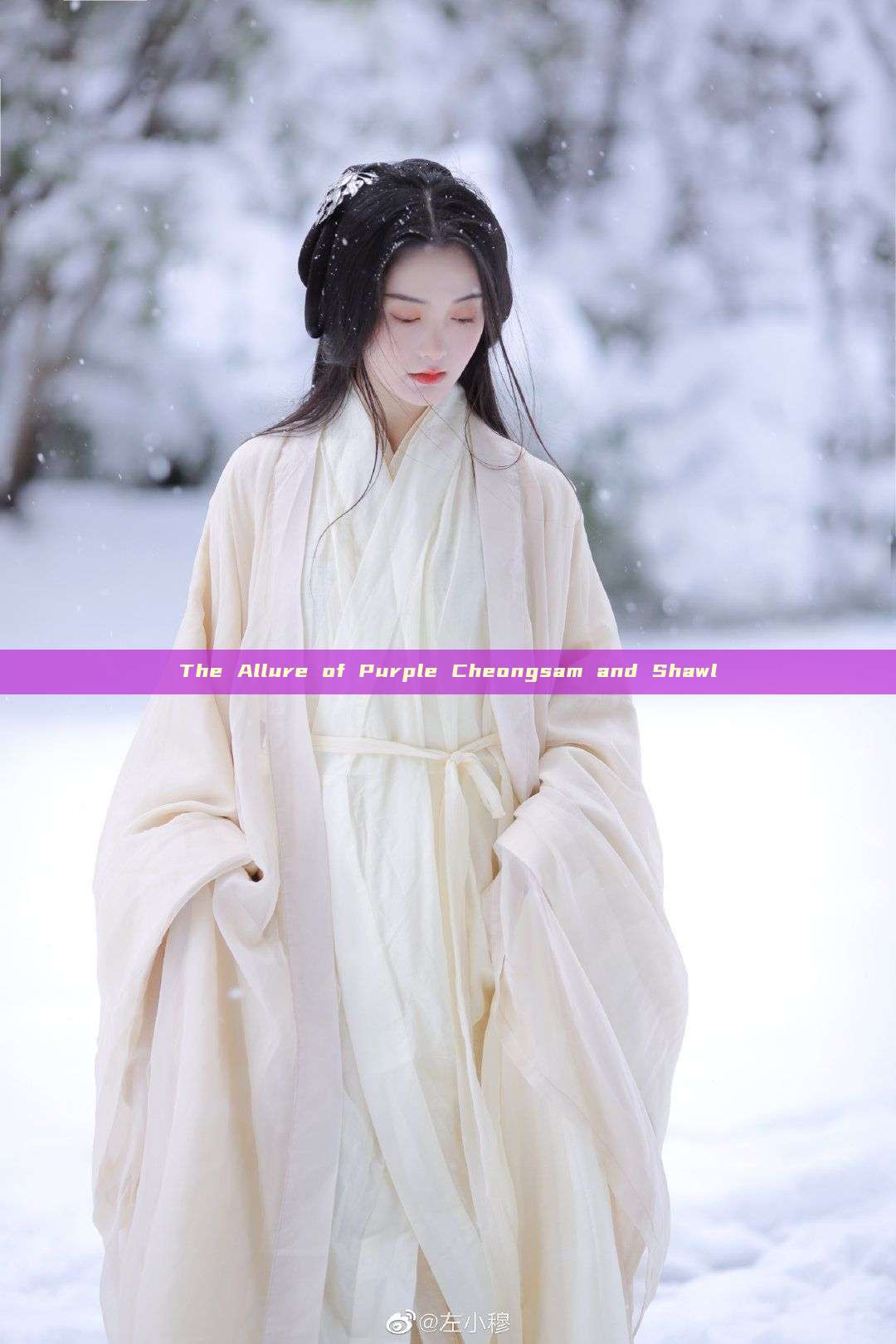 The Allure of Purple Cheongsam and Shawl The Allure of Purple Cheongsam and Shawl