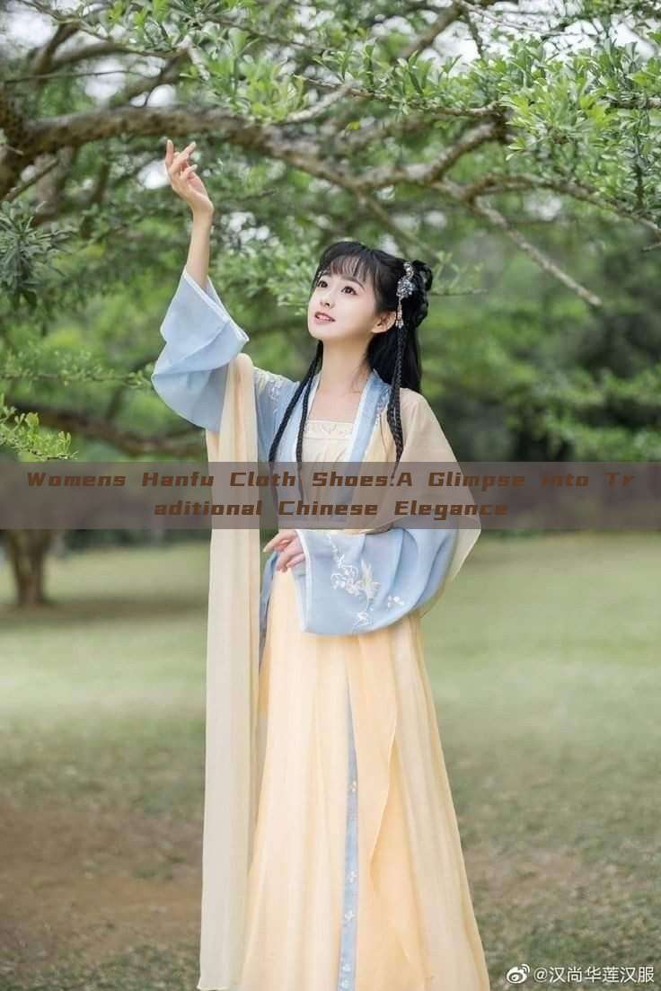 Womens Hanfu Cloth Shoes:A Glimpse into Traditional Chinese Elegance Womens Hanfu Cloth Shoes:A Glimpse into Traditional Chinese Elegance