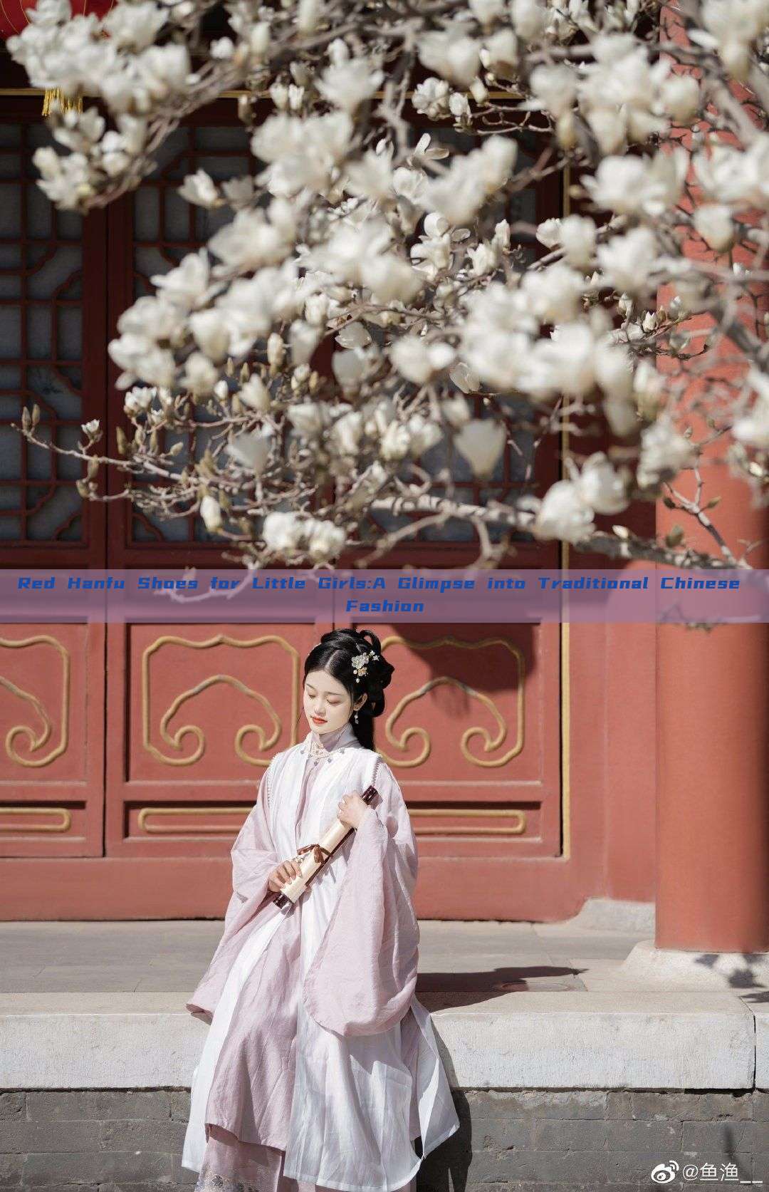 Red Hanfu Shoes for Little Girls:A Glimpse into Traditional Chinese Fashion Red Hanfu Shoes for Little Girls:A Glimpse into Traditional Chinese Fashion